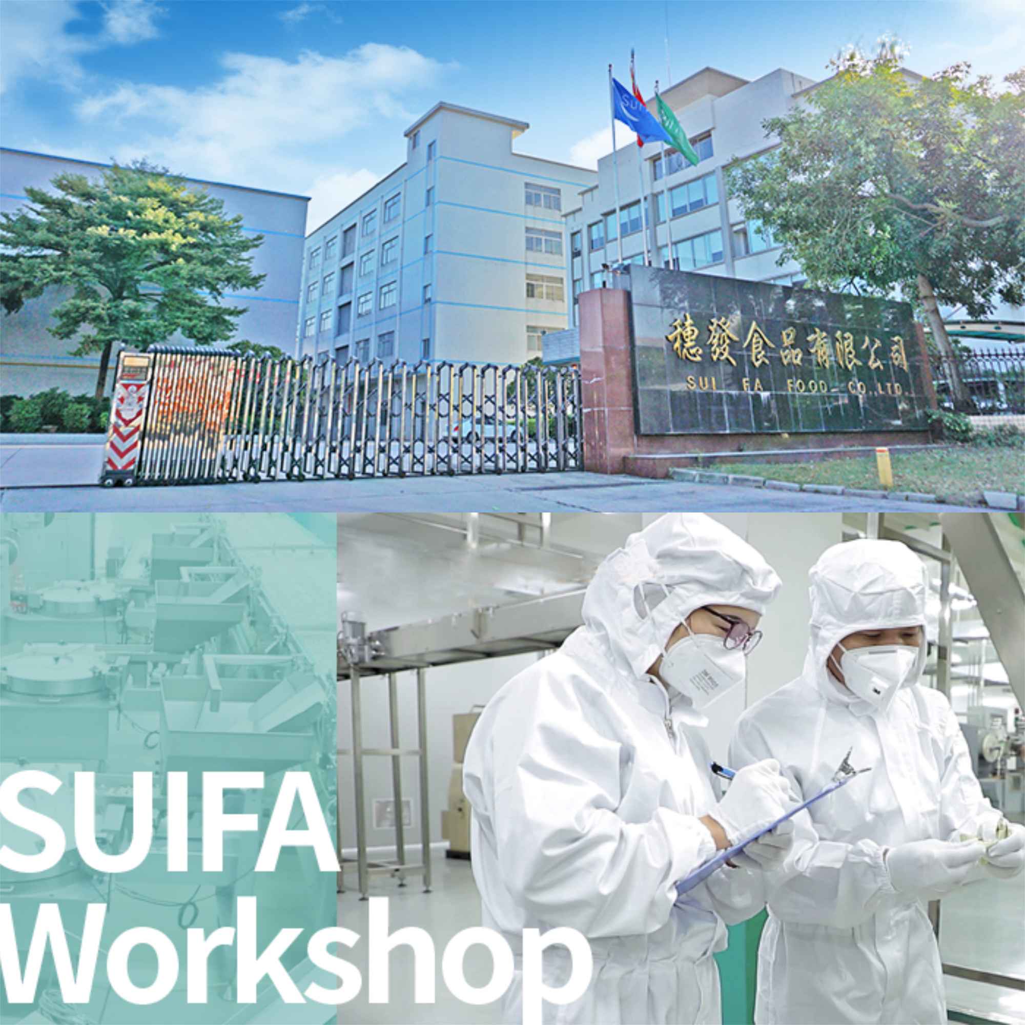 Suifa mint candy factory production floor