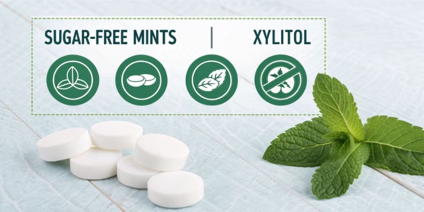 What Sugar-Free Mints Have Xylitol?