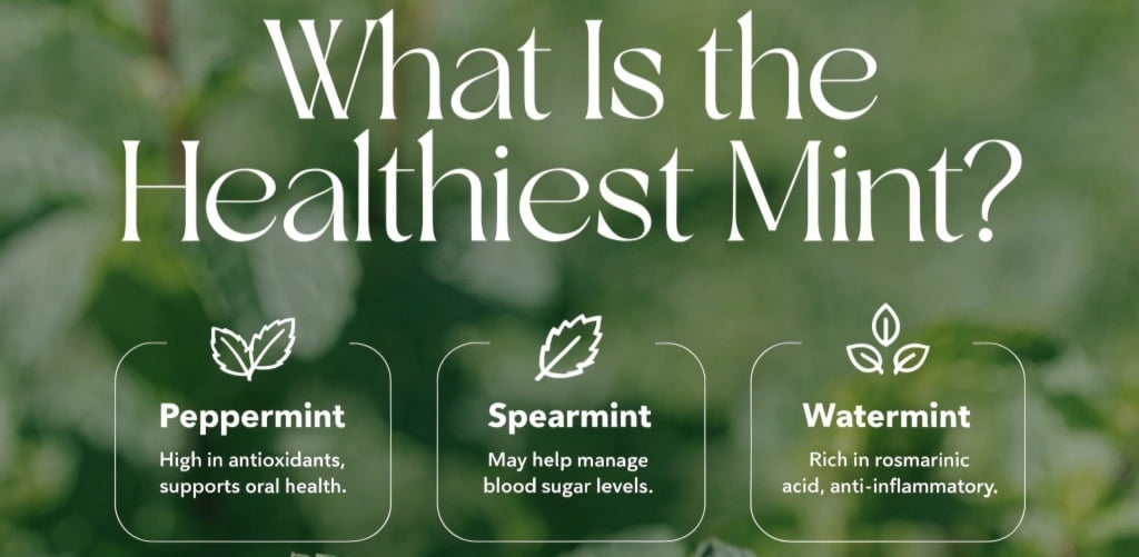 What Mints Are the Healthiest?