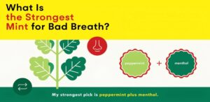 Strongest Mint Flavor Options for Bad Breath
