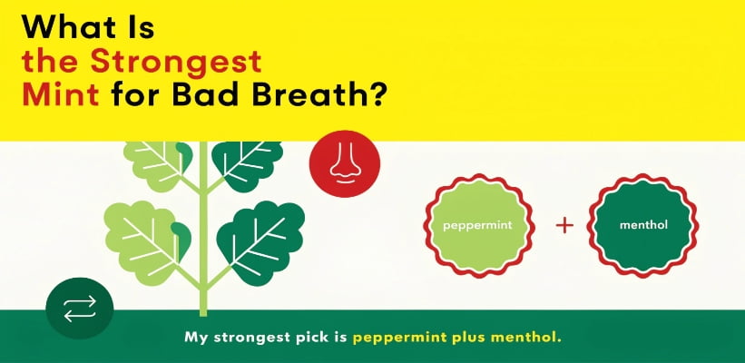 Strongest Mint Flavor Options for Bad Breath
