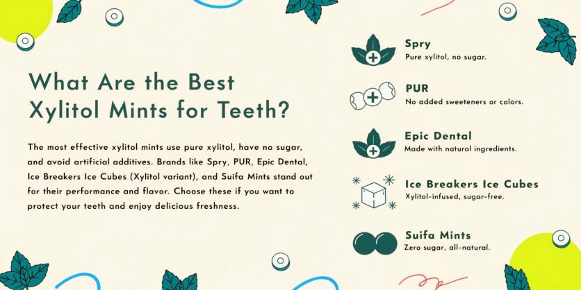 What Are the Best Xylitol Mints for Teeth?