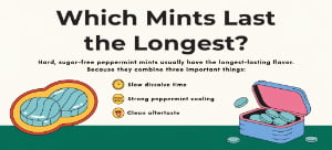 Which Mints Have the Longest-Lasting Flavor?