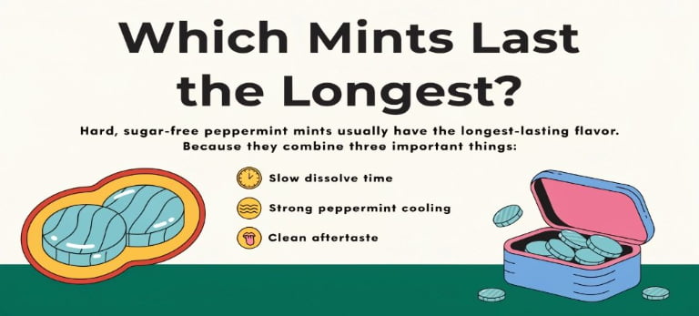 Which Mints Have the Longest-Lasting Flavor?